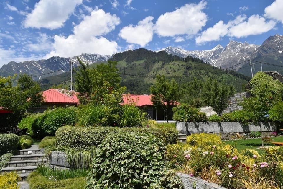 The Amrit Manali 2&3 Bhk Villas Kültér fotó
